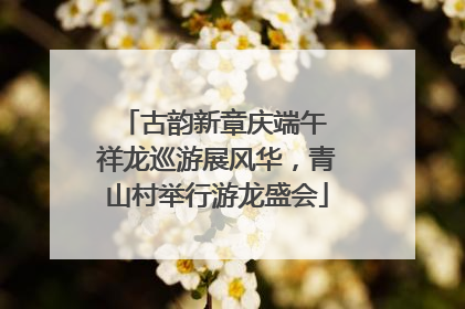 古韵新章庆端午 祥龙巡游展风华，青山村举行游龙盛会