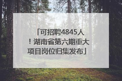 可招聘4845人！湖南省第六期重大项目岗位归集发布