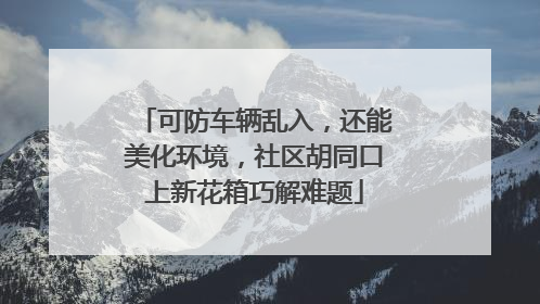 可防车辆乱入，还能美化环境，社区胡同口上新花箱巧解难题