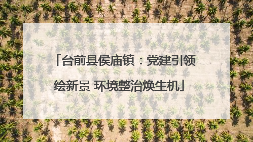 台前县侯庙镇：党建引领绘新景 环境整治焕生机