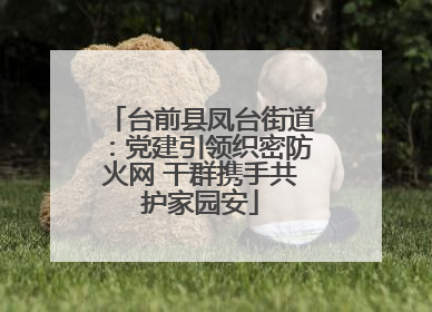 台前县凤台街道：党建引领织密防火网 干群携手共护家园安