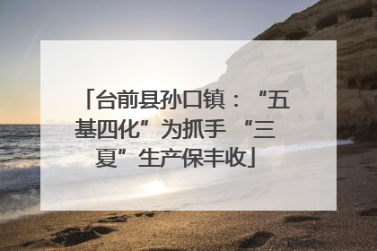 台前县孙口镇：“五基四化”为抓手 “三夏”生产保丰收