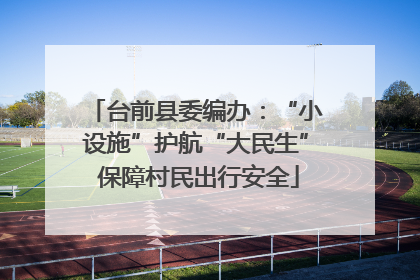 台前县委编办：“小设施”护航“大民生” 保障村民出行安全