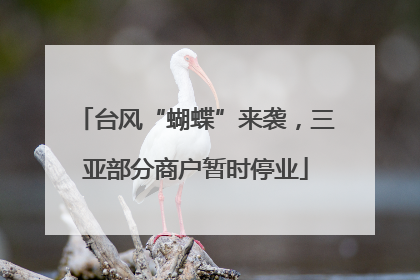 台风“蝴蝶”来袭，三亚部分商户暂时停业