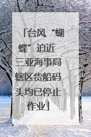 台风“蝴蝶”迫近 三亚海事局辖区货船码头均已停止作业