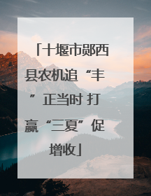 十堰市郧西县农机追“丰”正当时 打赢“三夏”促增收