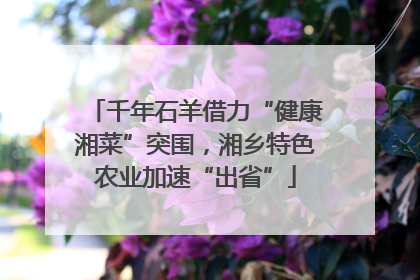 千年石羊借力“健康湘菜”突围，湘乡特色农业加速“出省”