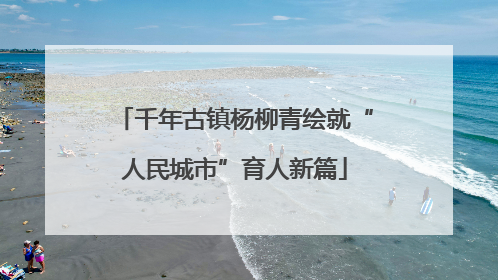 千年古镇杨柳青绘就“人民城市”育人新篇