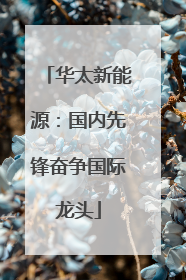 华太新能源：国内先锋奋争国际龙头