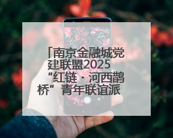 南京金融城党建联盟2025“红链・河西鹊桥”青年联谊派对甜蜜举办
