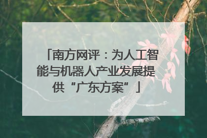南方网评：为人工智能与机器人产业发展提供“广东方案”