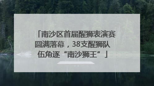 南沙区首届醒狮表演赛圆满落幕，38支醒狮队伍角逐“南沙狮王”