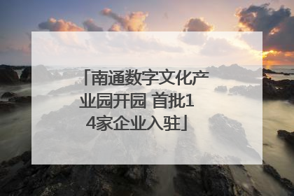 南通数字文化产业园开园 首批14家企业入驻