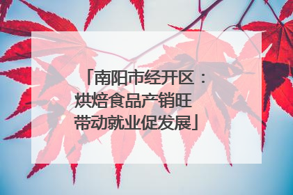 南阳市经开区：烘焙食品产销旺 带动就业促发展