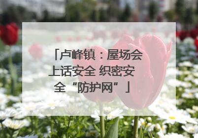 卢峰镇：屋场会上话安全 织密安全“防护网”