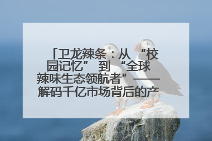 卫龙辣条：从 “校园记忆” 到 “全球辣味生态领航者”——解码千亿市场背后的产品创新与全链路破圈