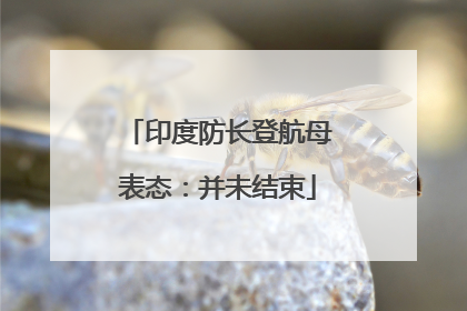 印度防长登航母表态：并未结束