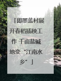 即墨蓝村展开春稻插秧工作 千亩盐碱地变“江南水乡”