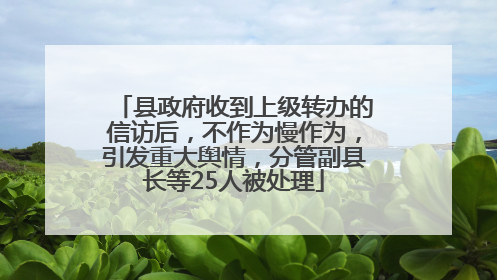 县政府收到上级转办的信访后，不作为慢作为，引发重大舆情，分管副县长等25人被处理