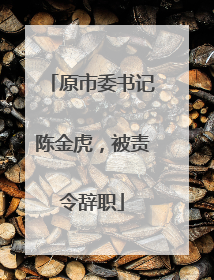 原市委书记陈金虎，被责令辞职