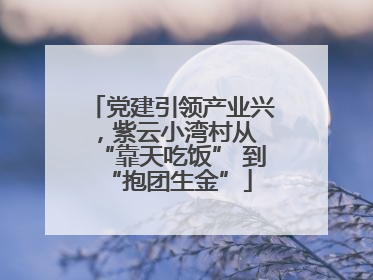 党建引领产业兴，紫云小湾村从 “靠天吃饭” 到 “抱团生金”