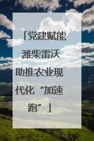 党建赋能 潍柴雷沃助推农业现代化“加速跑”