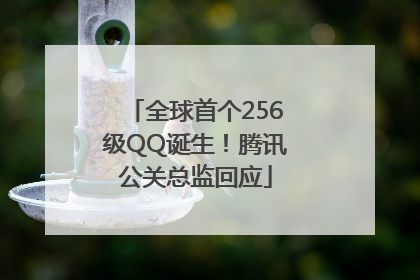 全球首个256级QQ诞生！腾讯公关总监回应