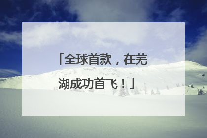 全球首款，在芜湖成功首飞！
