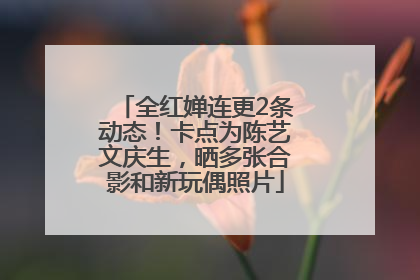 全红婵连更2条动态！卡点为陈艺文庆生，晒多张合影和新玩偶照片
