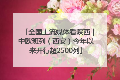 全国主流媒体看陕西｜中欧班列（西安）今年以来开行超2500列