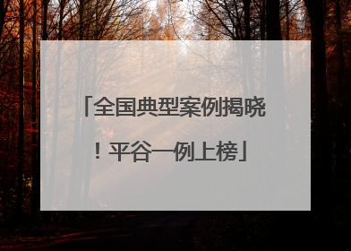 全国典型案例揭晓！平谷一例上榜