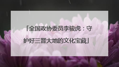 全国政协委员李骏虎：守护好三晋大地的文化宝藏