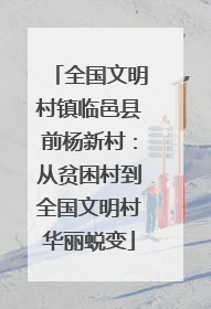 全国文明村镇临邑县前杨新村：从贫困村到全国文明村华丽蜕变