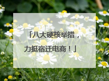 八大硬核举措，力挺宿迁电商！