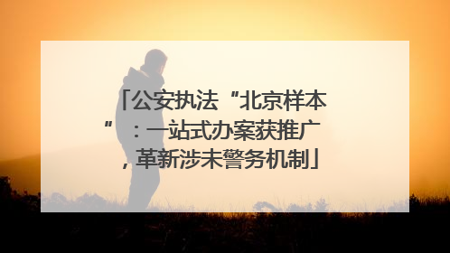 公安执法“北京样本”：一站式办案获推广，革新涉未警务机制