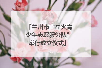 兰州市“星火青少年志愿服务队”举行成立仪式