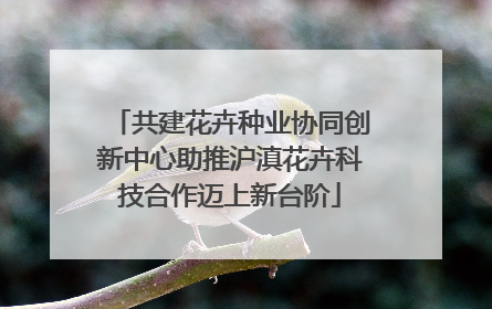 共建花卉种业协同创新中心助推沪滇花卉科技合作迈上新台阶