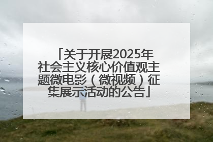 关于开展2025年社会主义核心价值观主题微电影（微视频）征集展示活动的公告
