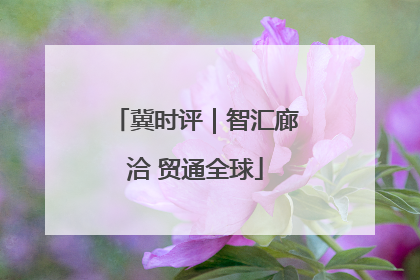 冀时评｜智汇廊洽 贸通全球