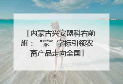 内蒙古兴安盟科右前旗：“蒙”字标引领农畜产品走向全国