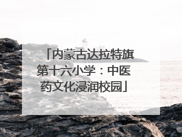 内蒙古达拉特旗第十六小学：中医药文化浸润校园