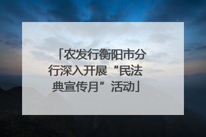 农发行衡阳市分行深入开展“民法典宣传月”活动