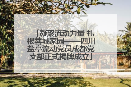 凝聚流动力量 扎根蓉城家园——四川盐亭流动党员成都党支部正式揭牌成立