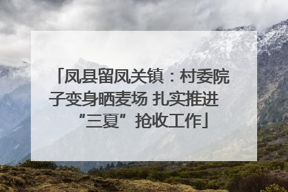 凤县留凤关镇：村委院子变身晒麦场 扎实推进“三夏”抢收工作