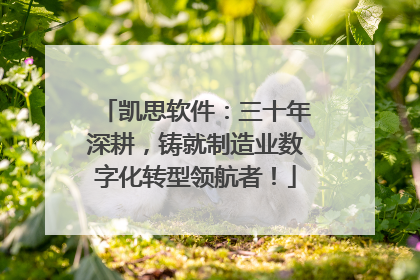 凯思软件：三十年深耕，铸就制造业数字化转型领航者！