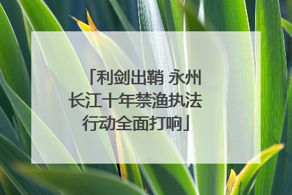 利剑出鞘 永州长江十年禁渔执法行动全面打响