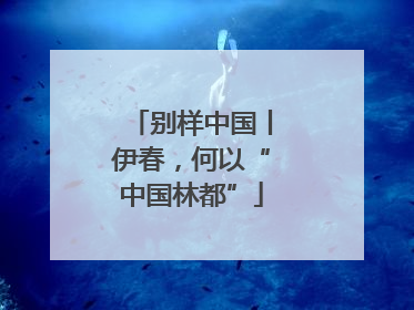别样中国丨伊春，何以“中国林都”