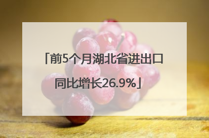 前5个月湖北省进出口同比增长26.9%