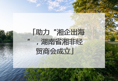 助力“湘企出海”，湖南省湘非经贸商会成立