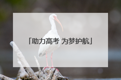助力高考 为梦护航